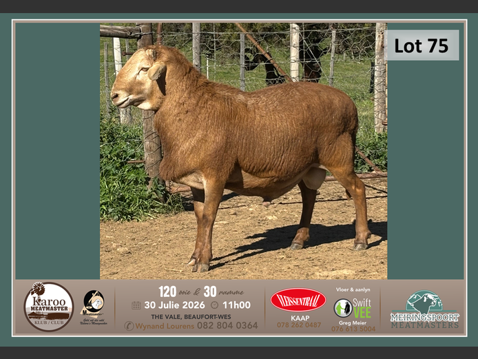 SB 198 | Tiaan Lourens - Meiringspoort Meatmasters