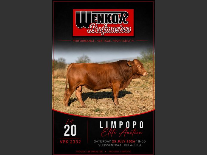 VPK230032 | WENKOR BEEFMASTERS