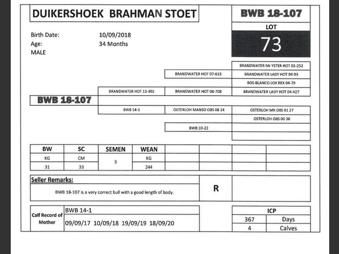 BWB 18-107