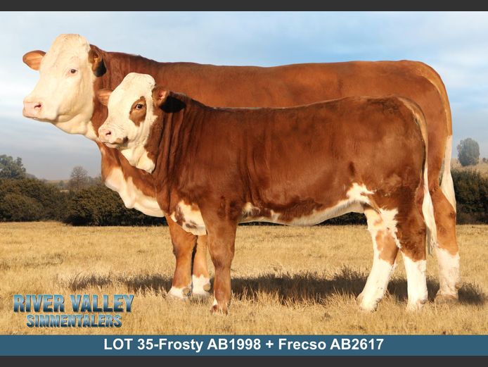 AB1998 | PA ABRAHAMSE