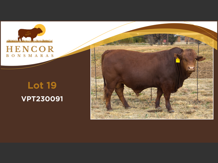 VPT 230091 | HENCOR BOERDERY