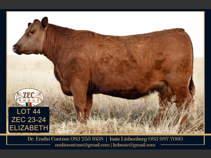 ZEC 230024 | Z.E. COETZEE