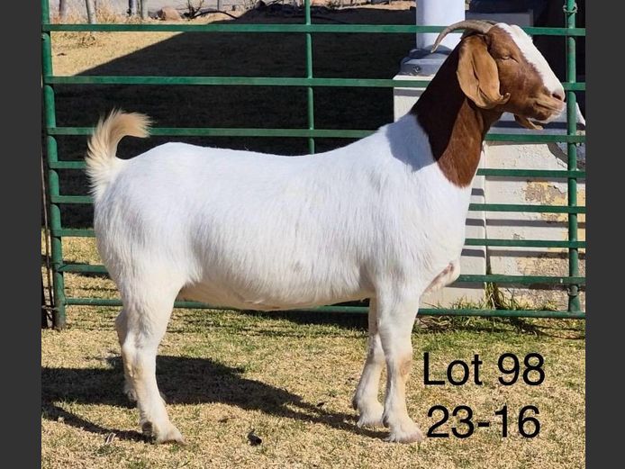 230016 | DU PREEZKRAAL