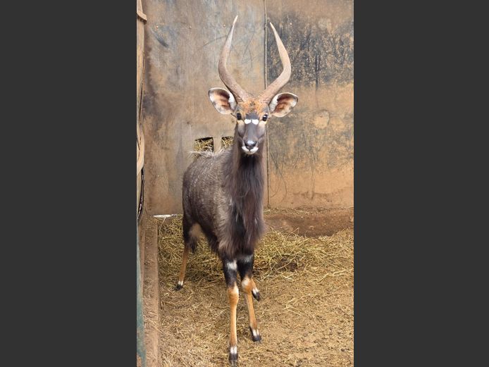 NJALA | TK BOERDERY
