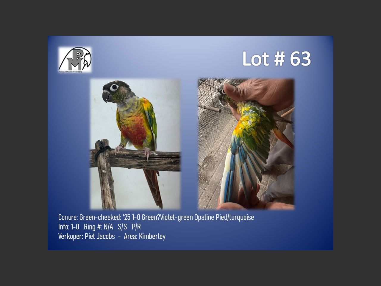 images