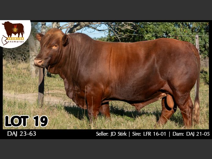 DAJ 230063 | J.D. STIRK