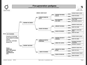 genetic_data