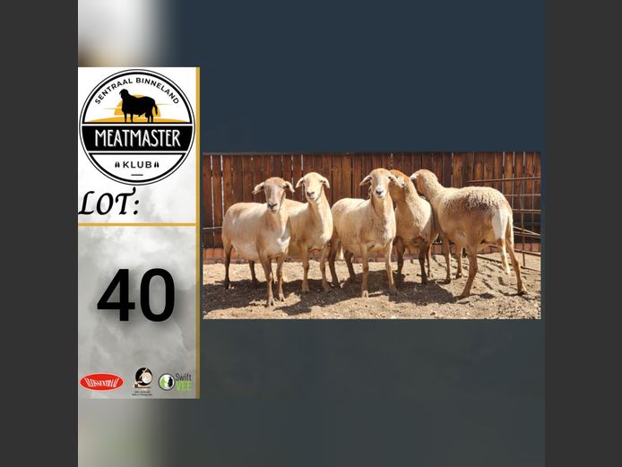 Ooie | Ja-Nee Boerdery