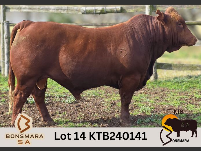 KTB240141 | BOTTERFONTEIN ESTATES CC