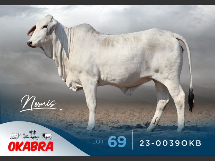 23-0039OKB | OKABRA BRAHMANS
