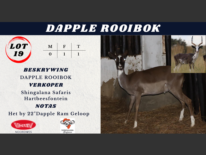 DAPPLE ROOIBOK
