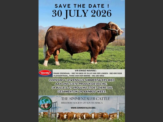 ODENSIM EN LEWENSLUS SIMMENTALER 33STE PRODUKSIEVEILING