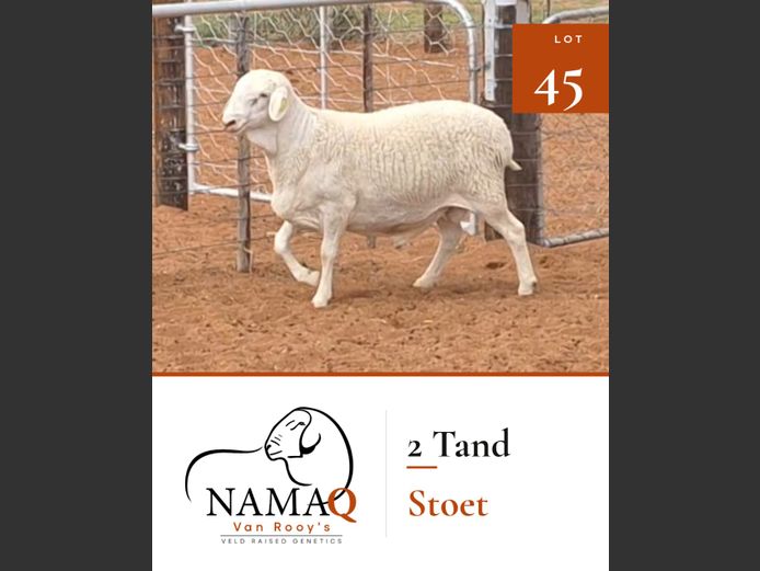 NAMAQ VAN ROOY RAMME
