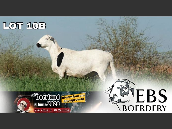 FDJ 19 0091 | EBS Boerdery