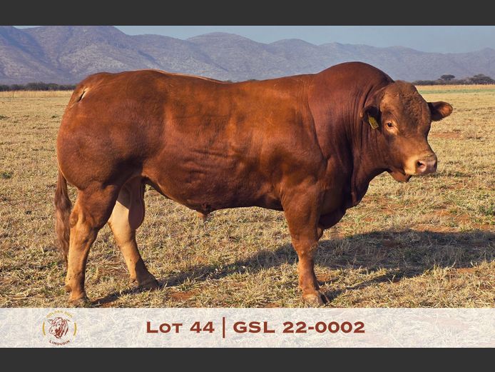 22-0002GSL | GOLDEN-SUN LIMOUSINES