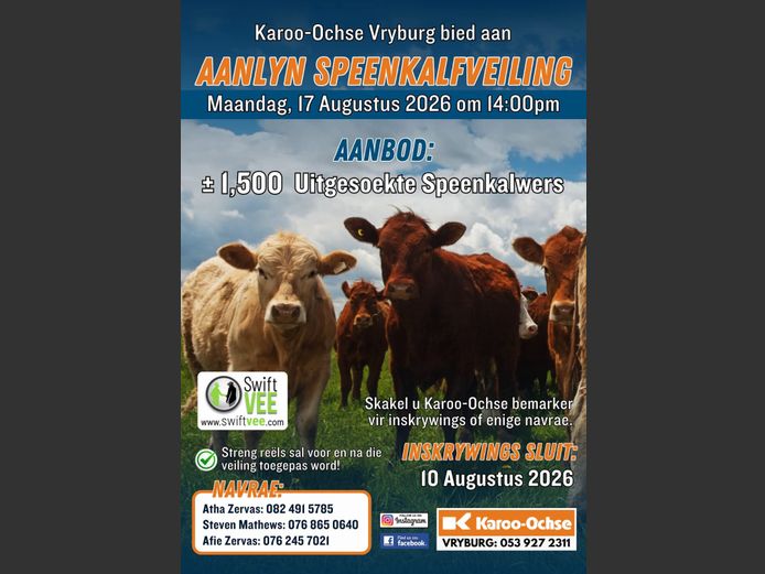KAROO OCHSE AANLYN SPEENKALFVEILING