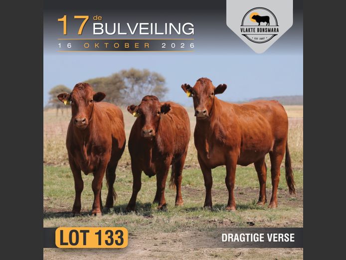 Commercial Animals | Tian Kruger Boerdery