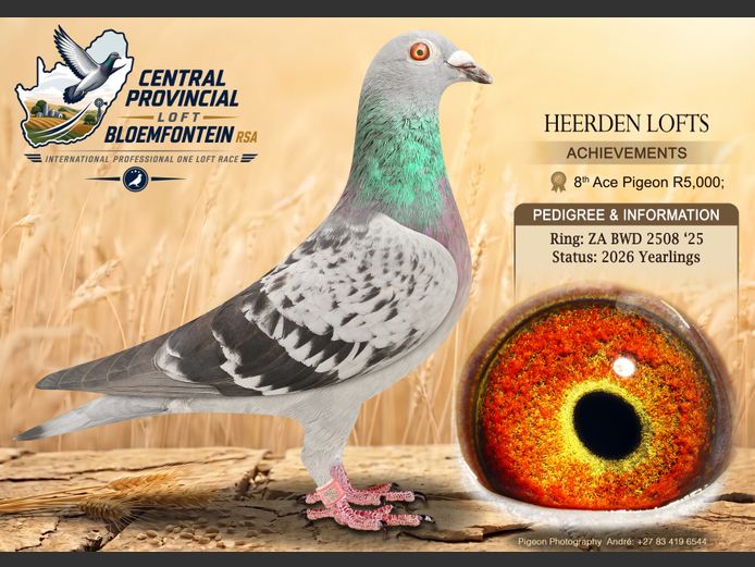 BWD 2508 2025 | HEERDEN LOFTS