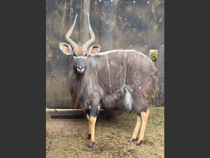 NJALA | TK BOERDERY