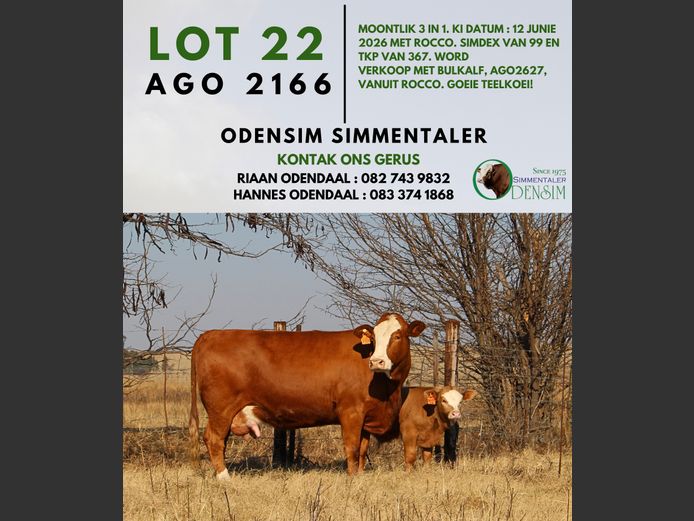 AGO2166 | AG ODENDAAL