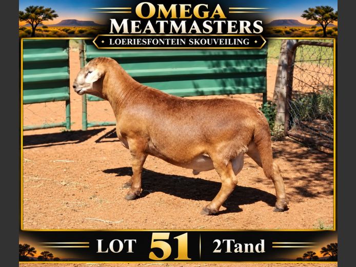 Omega Meatmasters