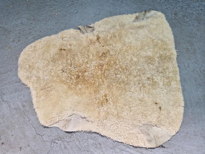 Vintage Natural Sheepskin Fleece Pelt Rug