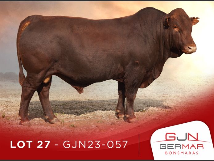 GJN230057