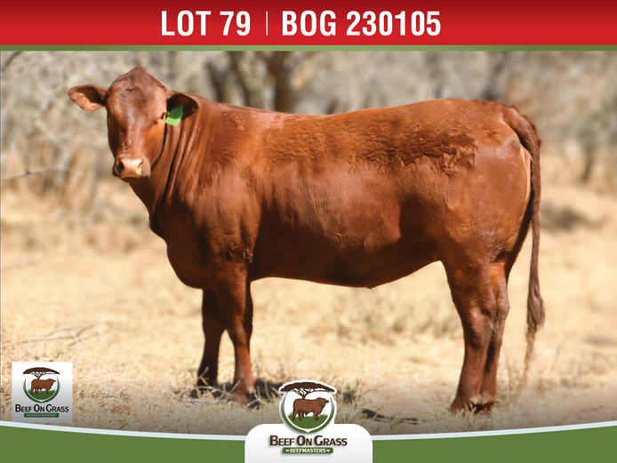 BOG 230105 | BEEF ON GRASS PTY LTD