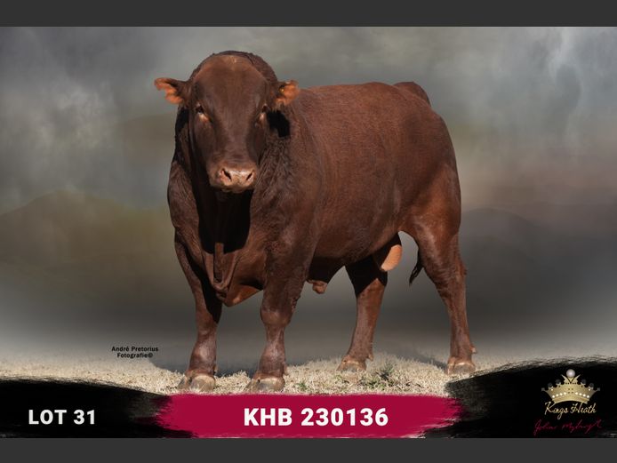 KHB 230136