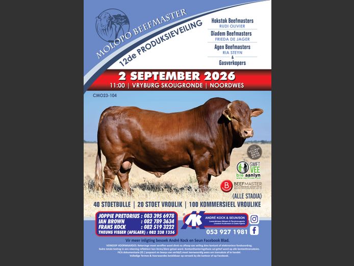 MOLOPO BEEFMASTER 12DE PRODUKSIEVEILING
