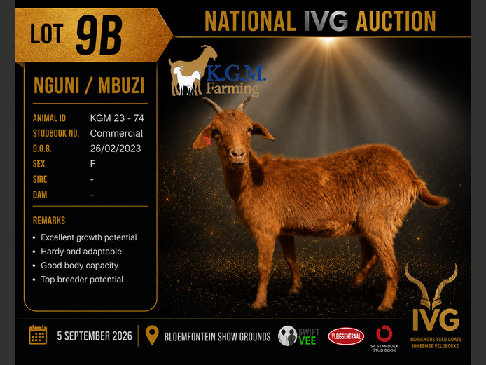 KGM 23-74 | KGM LIVESTOCK