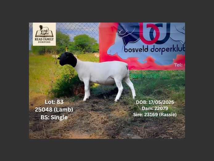 25048 | RAYMOND READ DORPERS