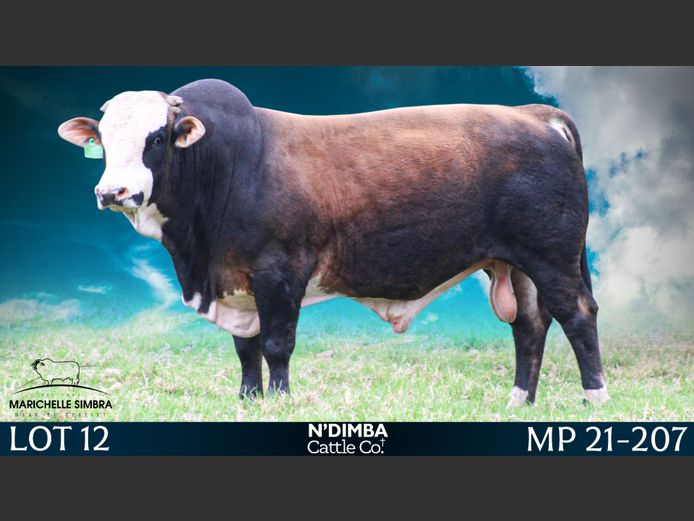 MP21207