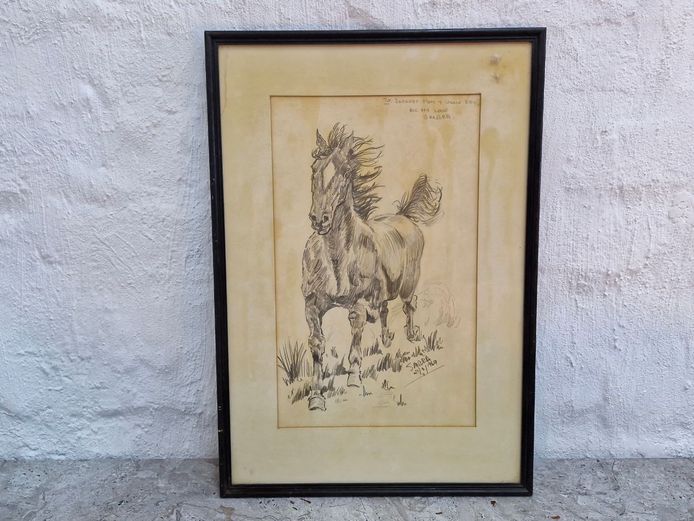 Framed Original Pencil Sketch of a Horse