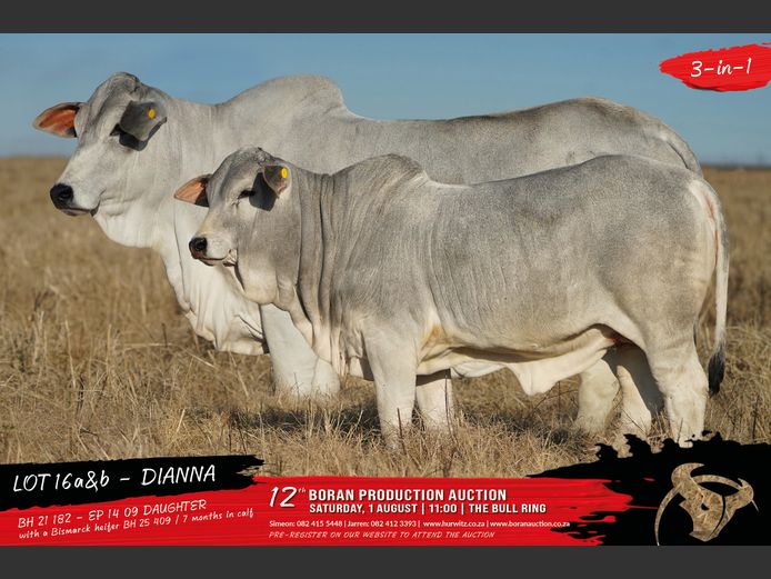 BH 210182 | HURWITZ FARMING