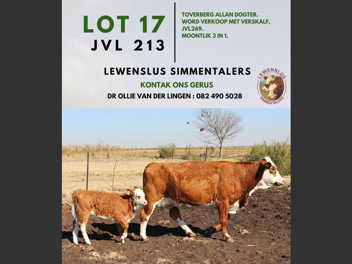 JVL213 | DR JSH VAN DER LINGEN