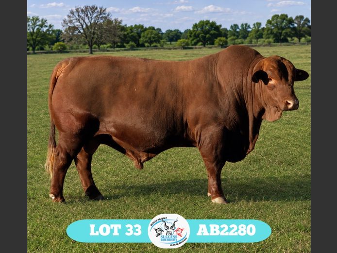 AB2280 | BURGER AJ