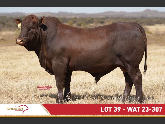 WAT230307 | KRUGER BOERDERY