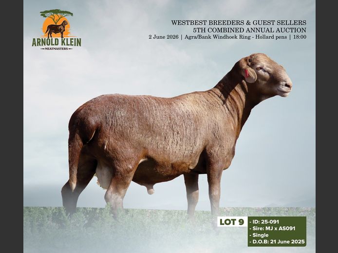 25-091 | ARNOLD KLEIN MEATMASTERS