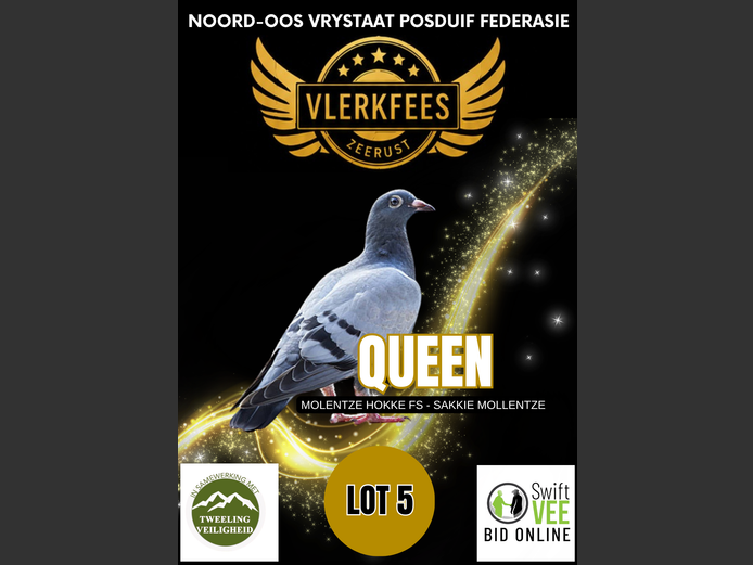 QUEEN | MOLENTZE HOKKE FS - SAKKIE MOLLENTZE