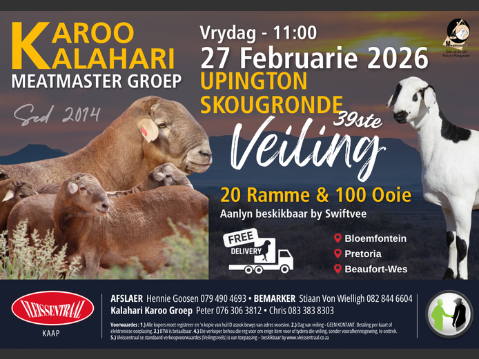 KALAHARI KAROO MEATMASTER GROEP 39STE VEILING