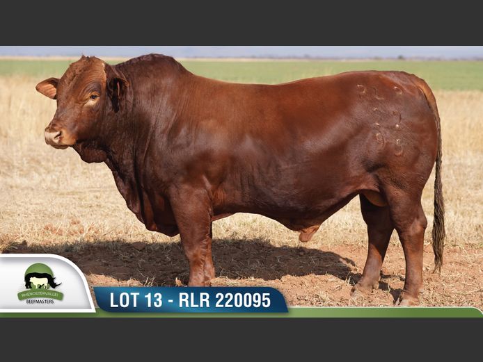 RLR 220095 | RHENOSTERVALLEI