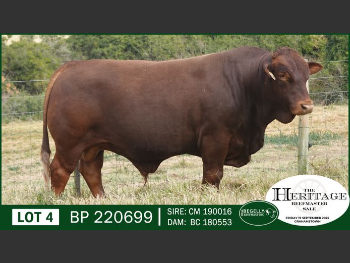 BP220699 | BEGELLY BEEFMASTERS