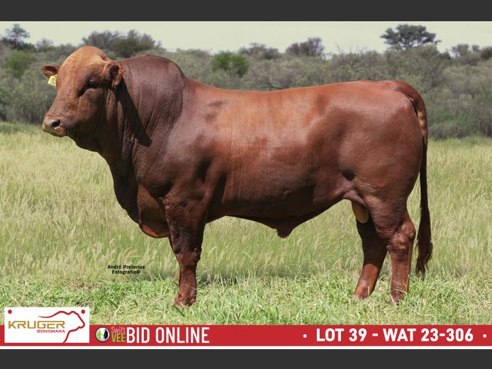 WAT 230306 | KRUGER BOERDERY