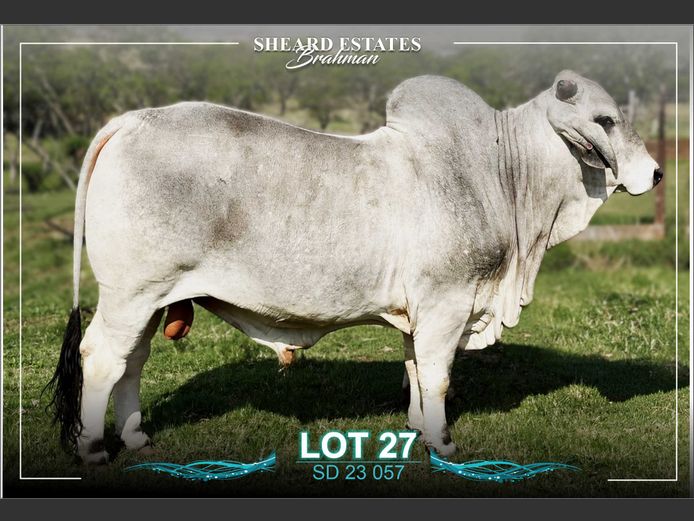 SD 23-057 | Sheard Estates
