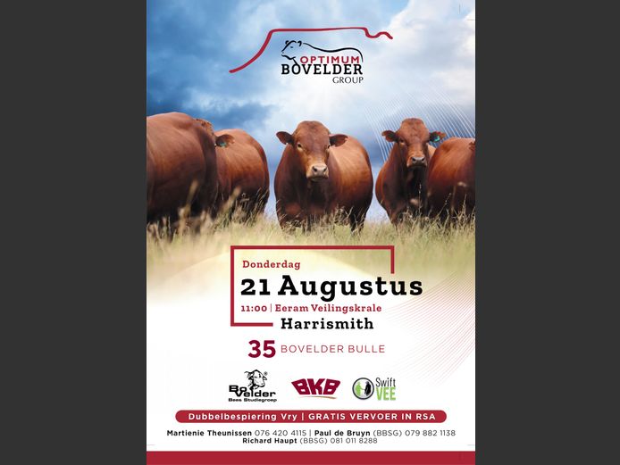 OPTIMUM BOVELDERS VEILING