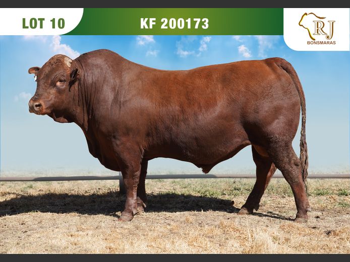 KF  200173 | RJ BONSMARAS