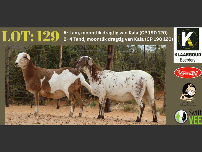 CP 23 203 | Chris & Christia - Klaargoud Boerdery