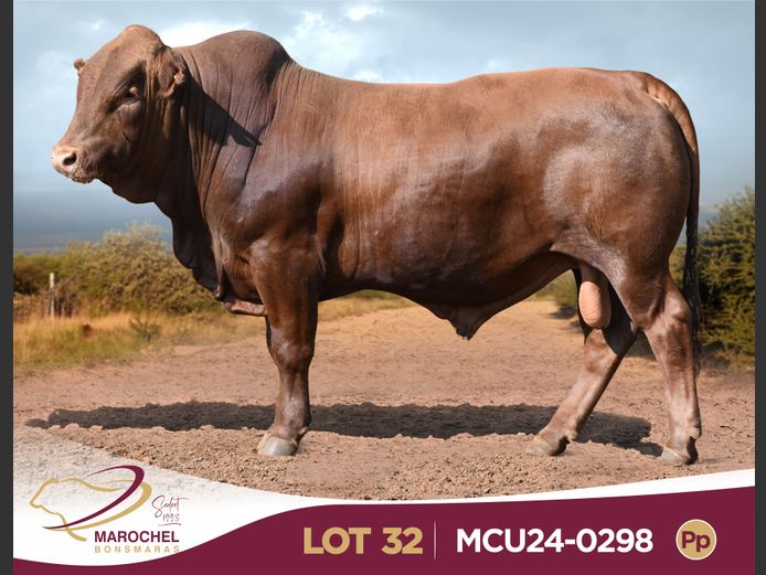 MCU240298 Pp(c)