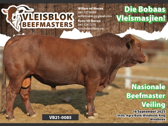 21-0085VB | VLEISBLOK BEEFMASTER